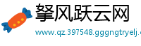 拏风跃云网